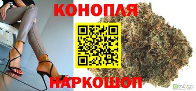 Альфа ПВП Новозыбков