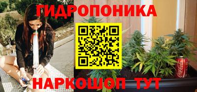 бошки Новодвинск