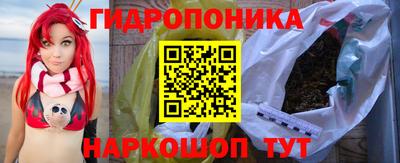 бошки Новодвинск