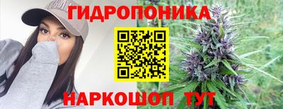 бошки Новодвинск