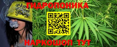 Альфа ПВП Новозыбков