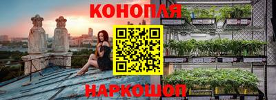 бошки Новодвинск